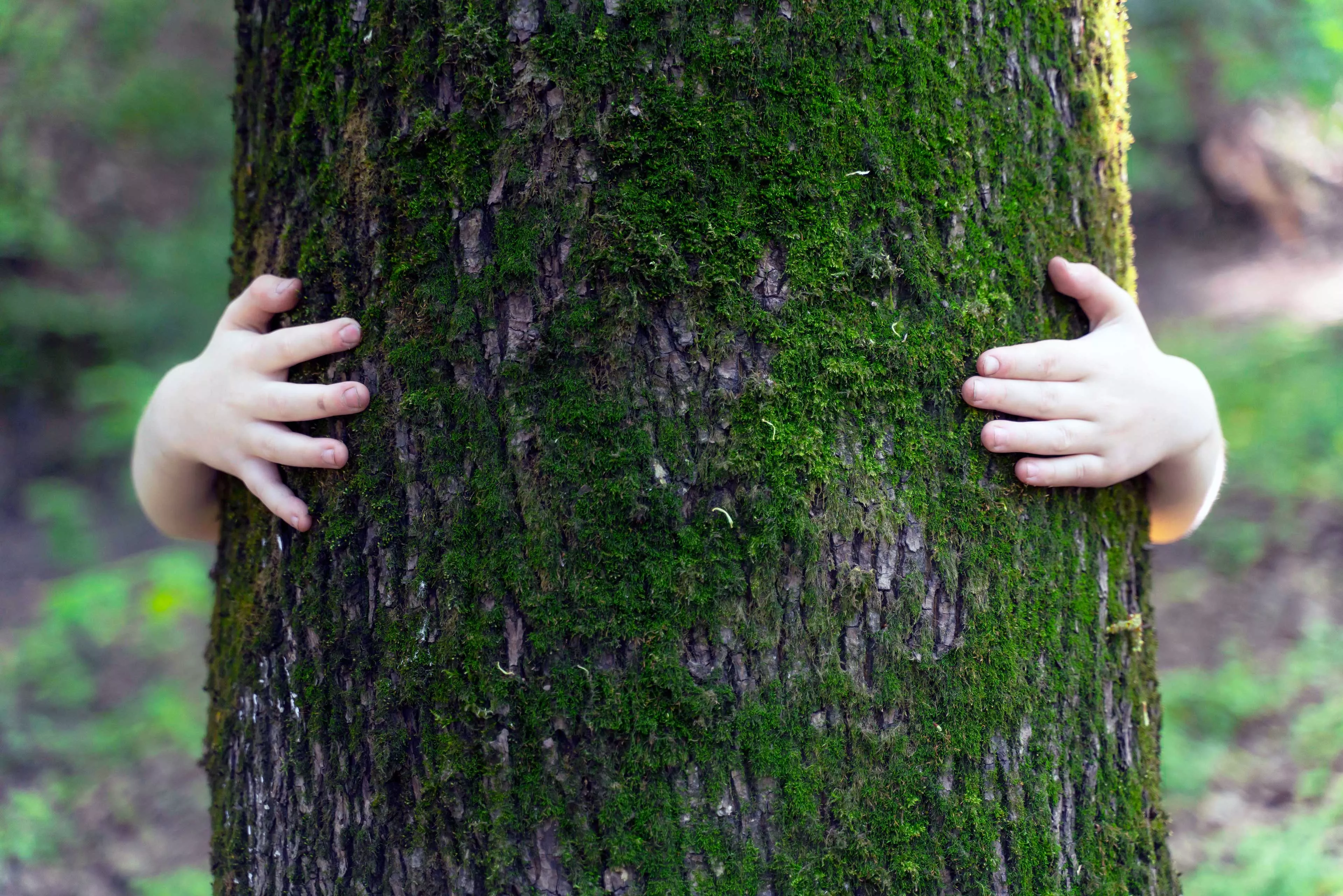 Agenda de la durabilit&eacute;